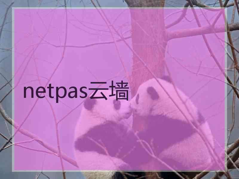 netpas云墙