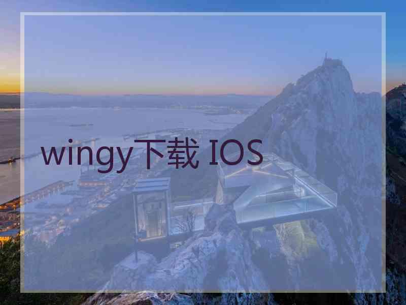 wingy下载 IOS