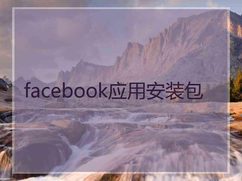 facebook应用安装包