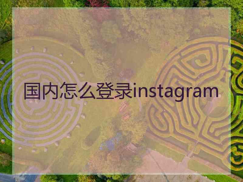 国内怎么登录instagram