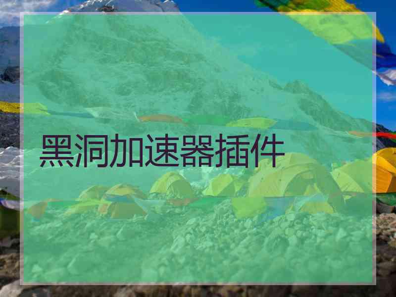 黑洞加速器插件