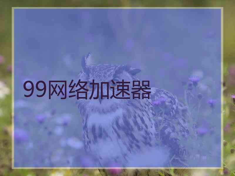 99网络加速器