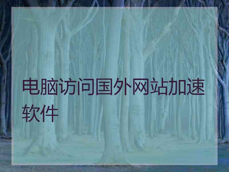 电脑访问国外网站加速软件