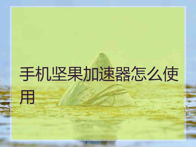 手机坚果加速器怎么使用