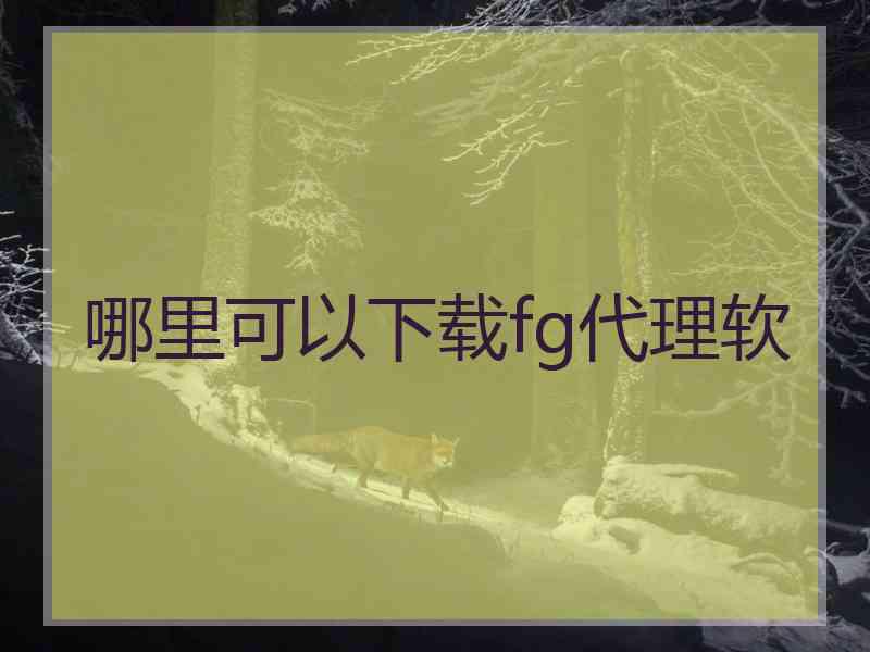 哪里可以下载fg代理软