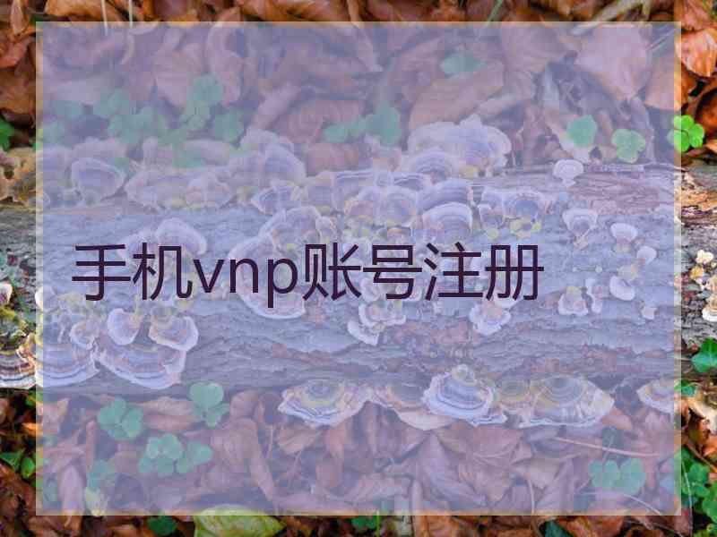 手机vnp账号注册