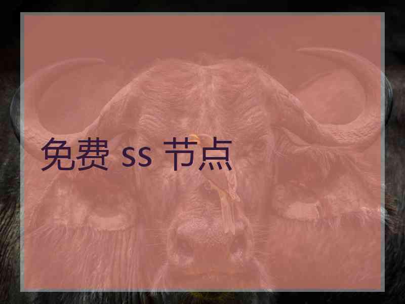 免费 ss 节点