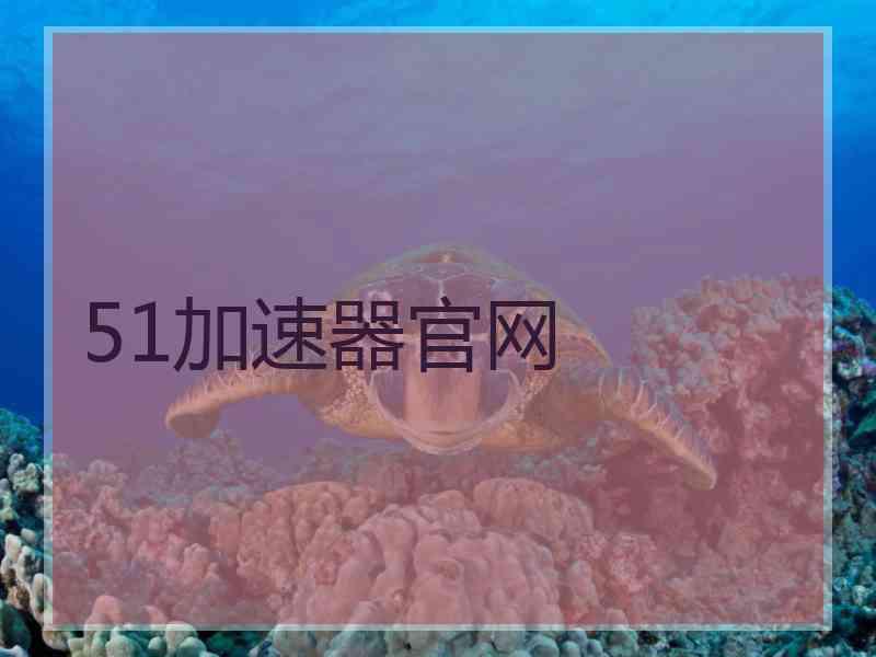 51加速器官网
