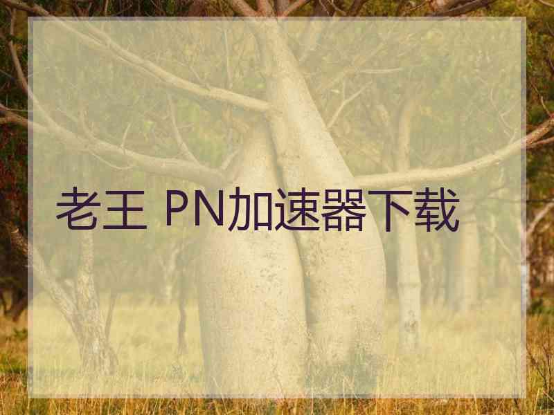 老王 PN加速器下载