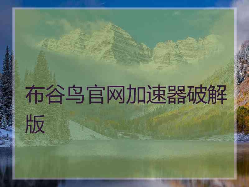 布谷鸟官网加速器破解版