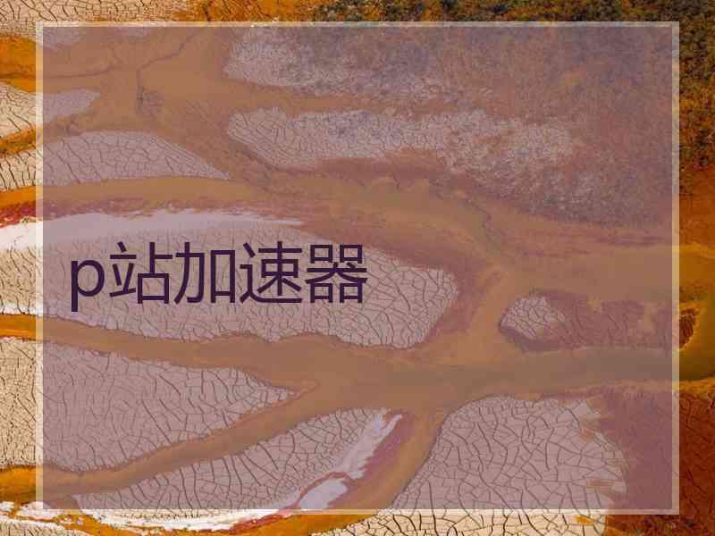 p站加速器