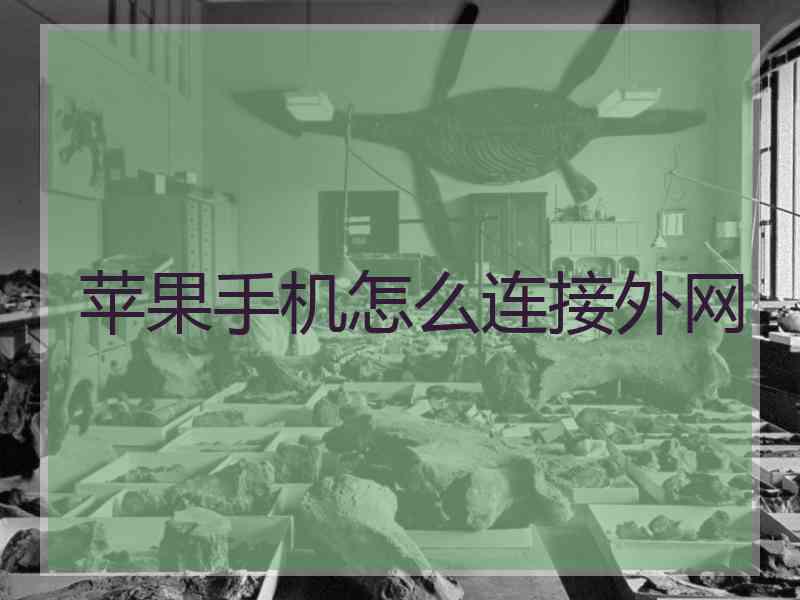 苹果手机怎么连接外网