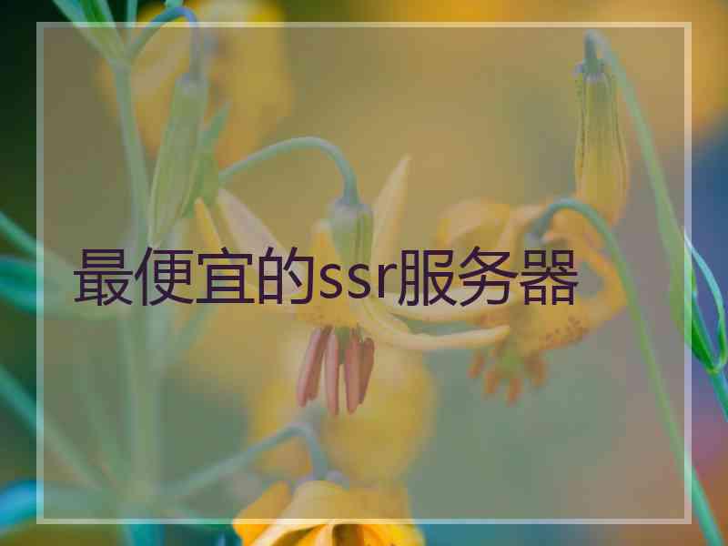 最便宜的ssr服务器