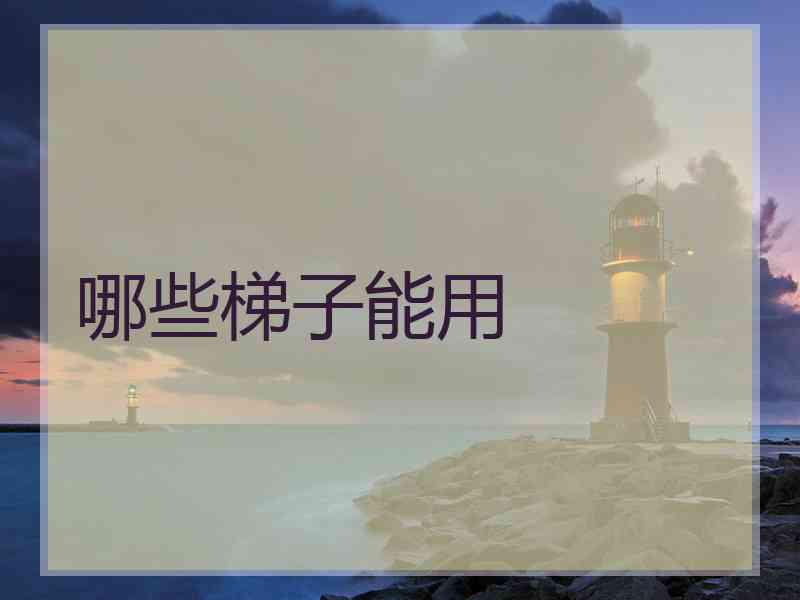 哪些梯子能用