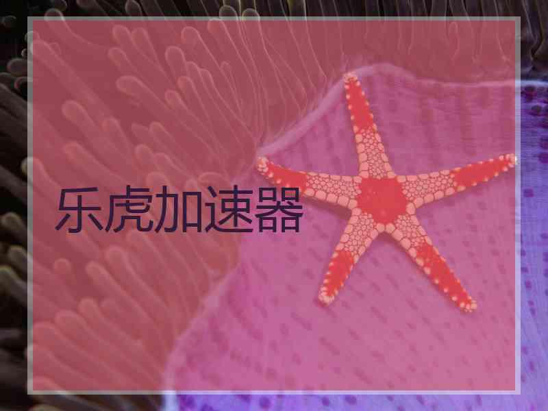 乐虎加速器