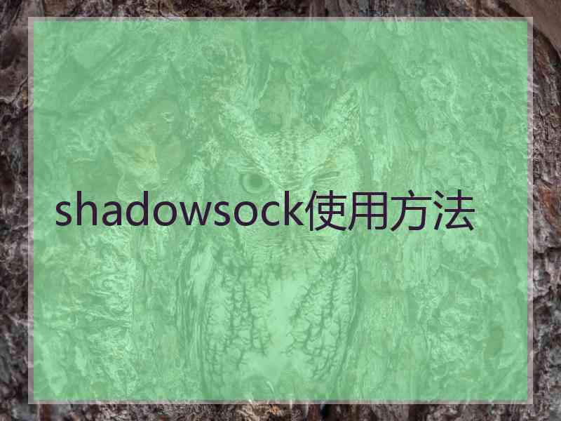 shadowsock使用方法