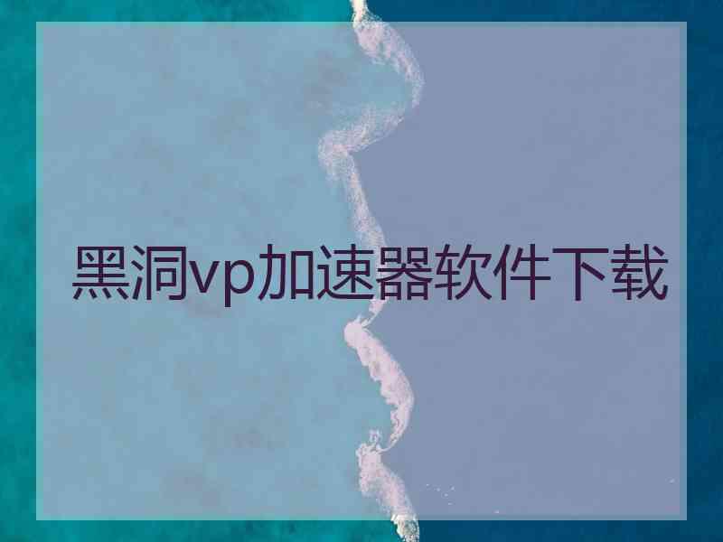 黑洞vp加速器软件下载