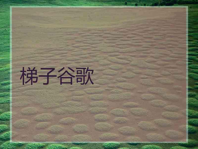 梯子谷歌