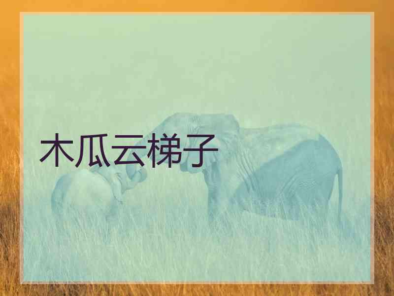木瓜云梯子