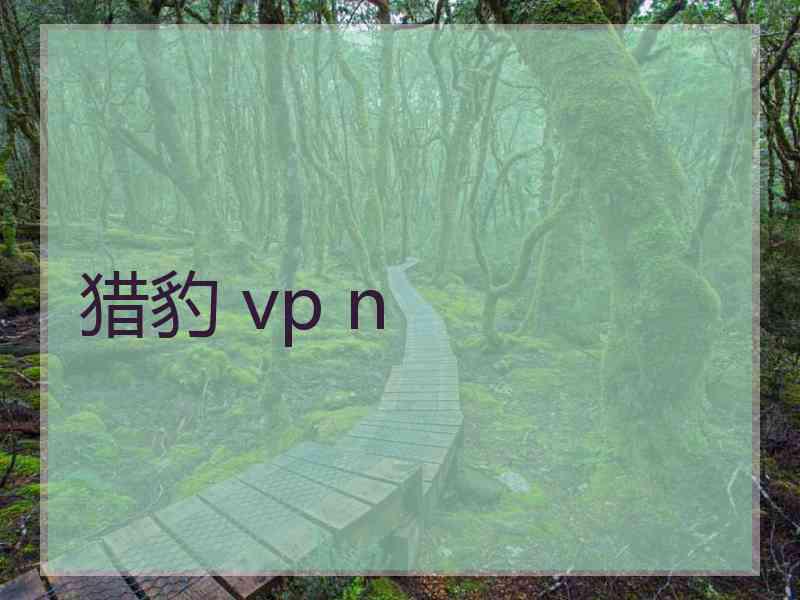 猎豹 vp n