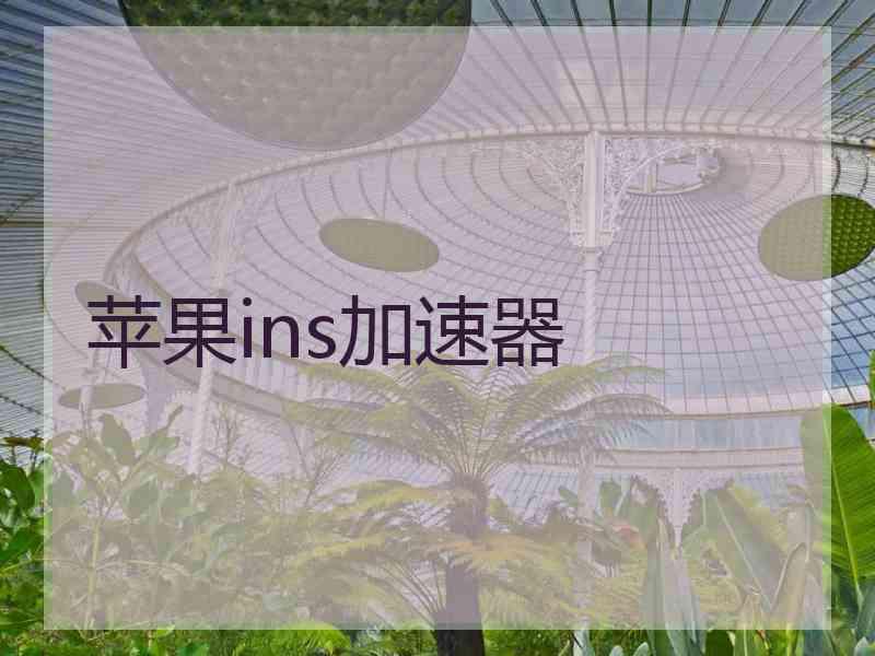 苹果ins加速器