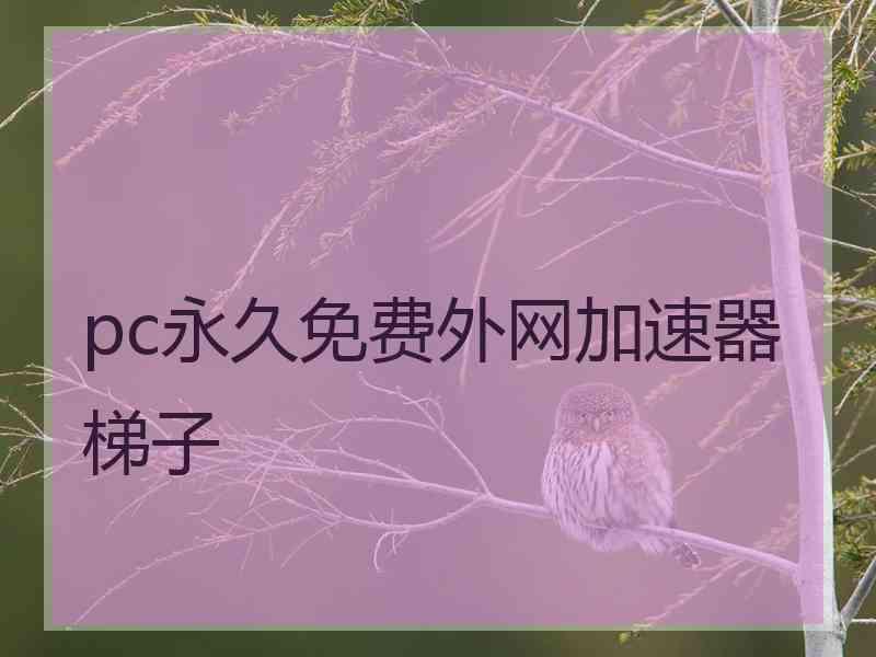 pc永久免费外网加速器梯子