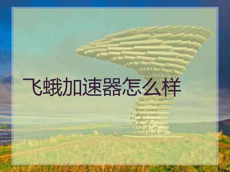飞蛾加速器怎么样