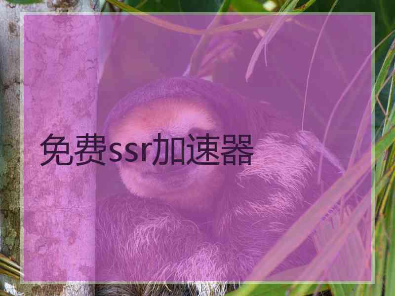 免费ssr加速器