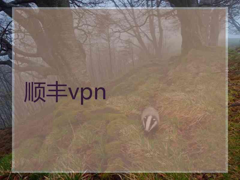 顺丰vpn