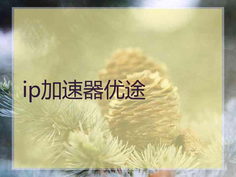 ip加速器优途