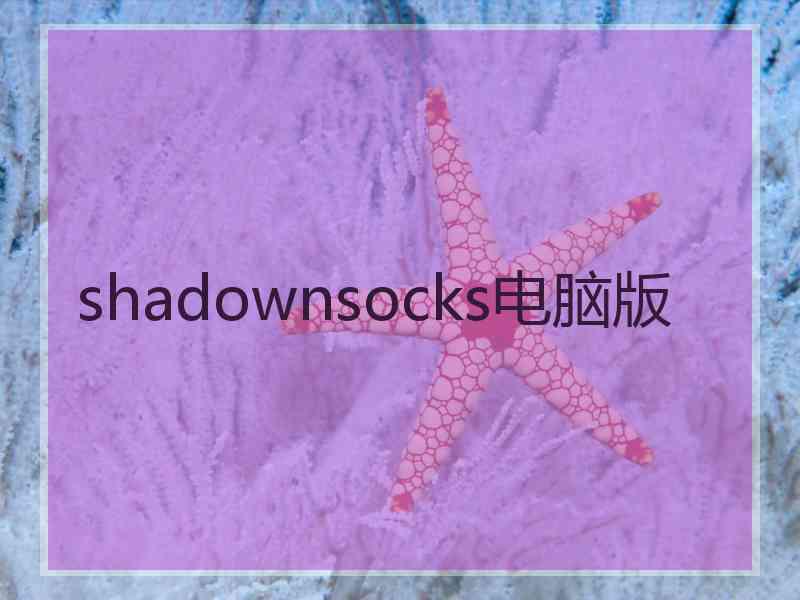 shadownsocks电脑版