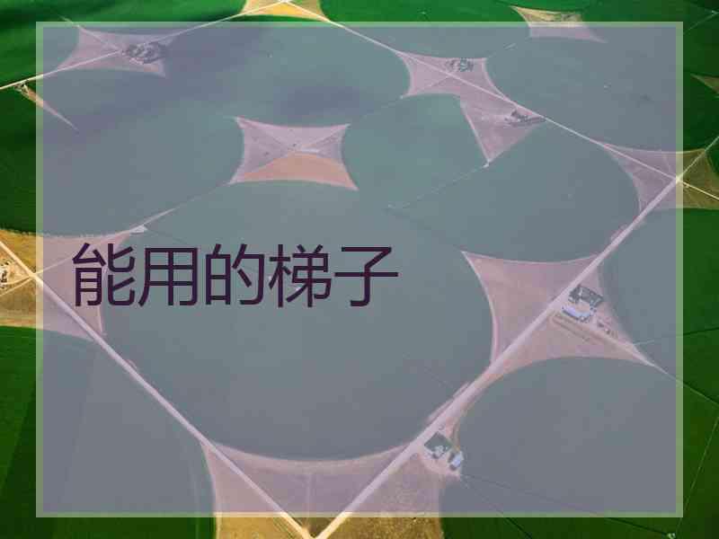 能用的梯子