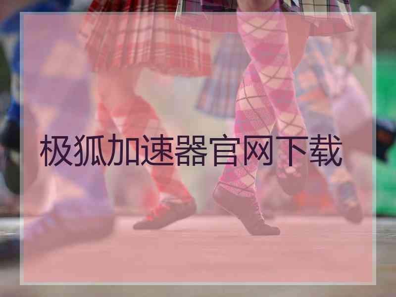 极狐加速器官网下载