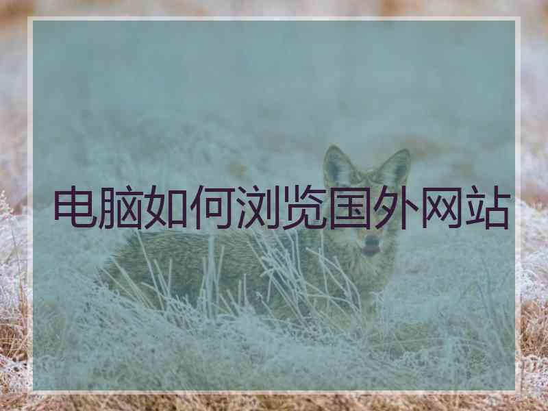 电脑如何浏览国外网站
