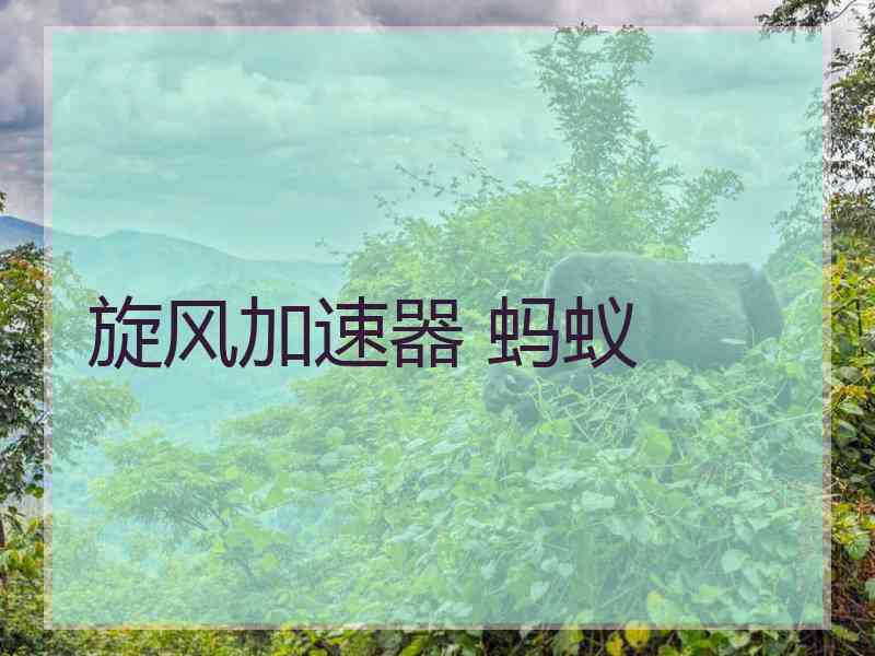 旋风加速器 蚂蚁