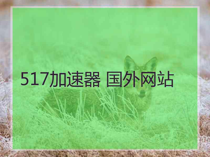 517加速器 国外网站
