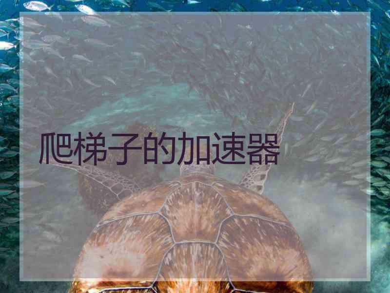 爬梯子的加速器