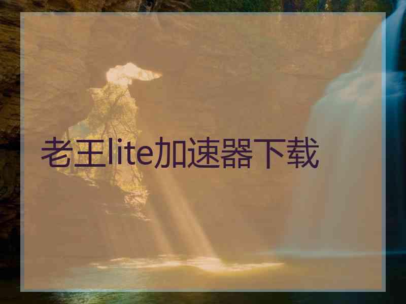老王lite加速器下载