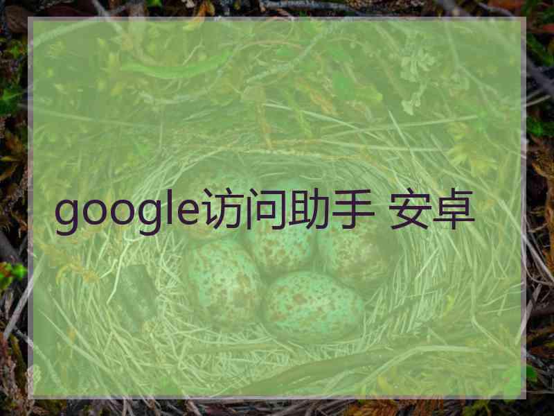google访问助手 安卓