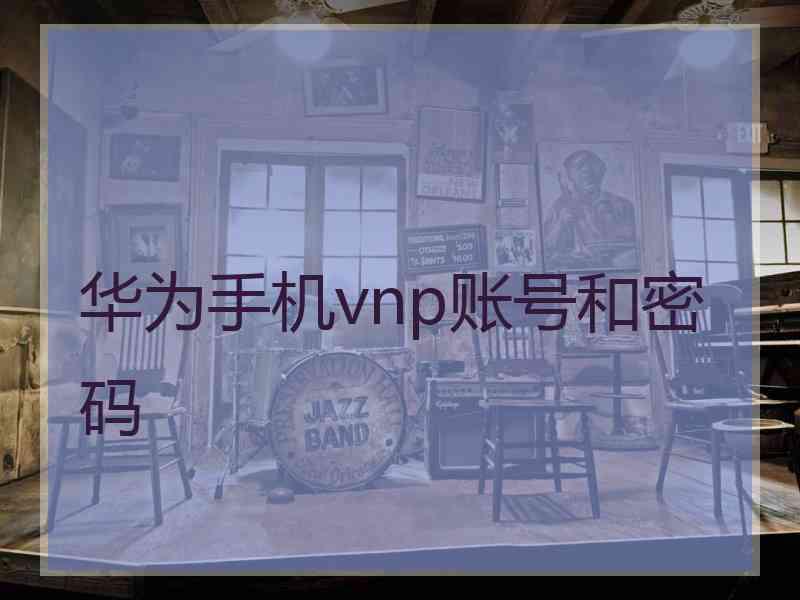 华为手机vnp账号和密码