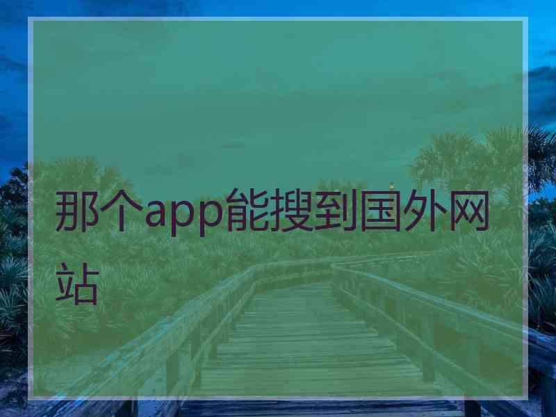 那个app能搜到国外网站