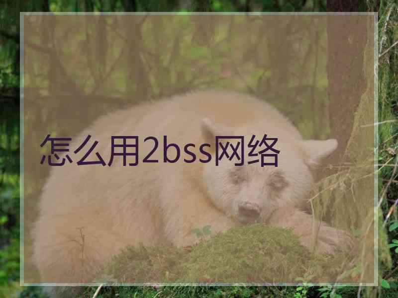 怎么用2bss网络