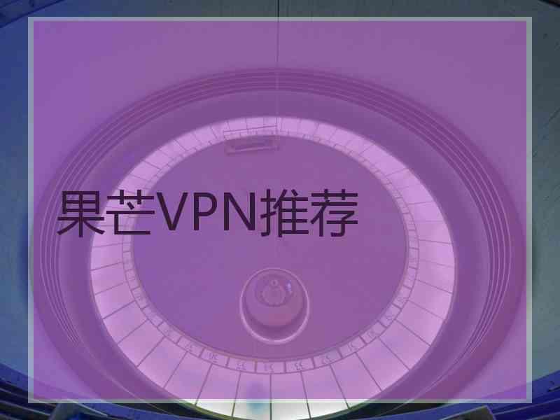果芒VPN推荐