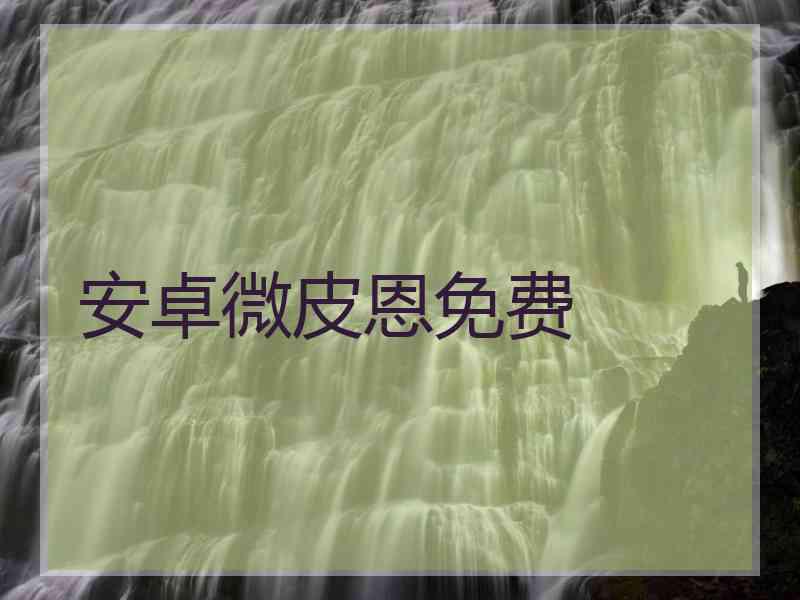 安卓微皮恩免费