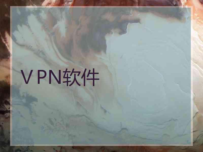 ⅤPN软件