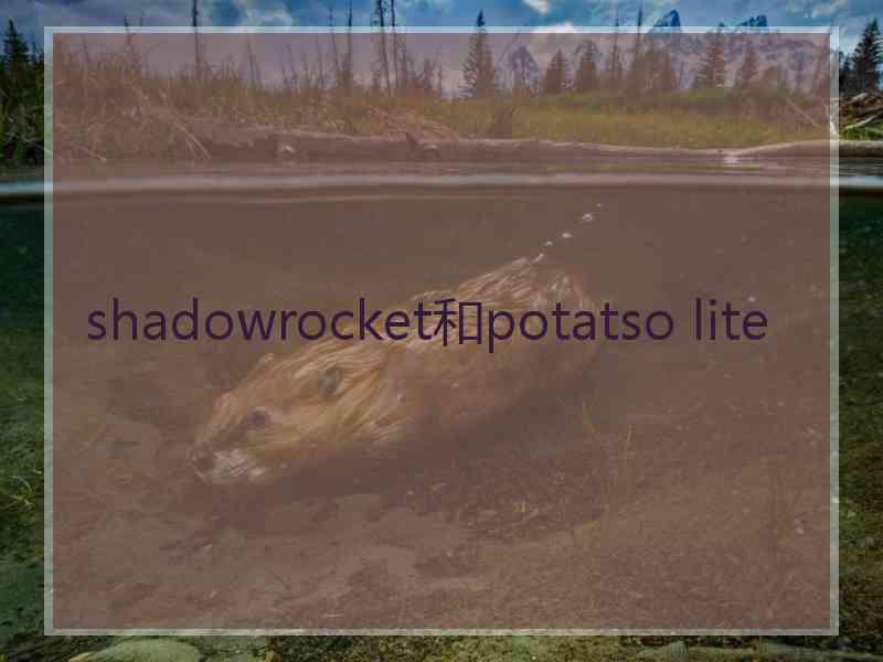 shadowrocket和potatso lite
