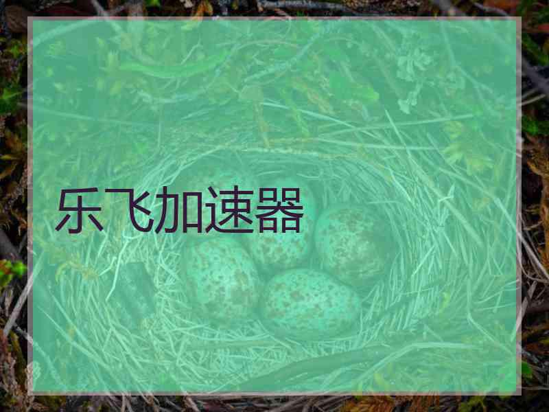 乐飞加速器
