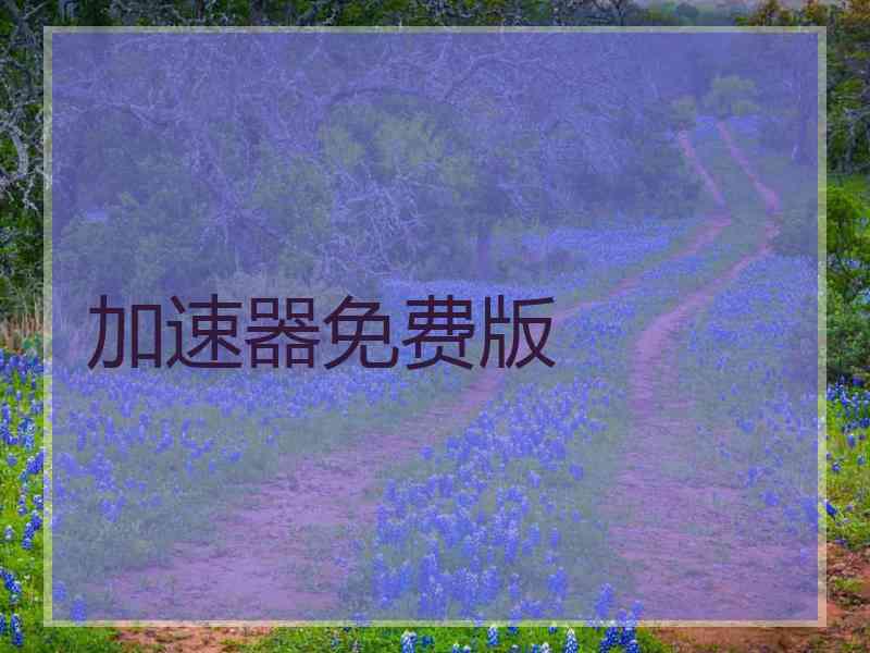 加速器免费版