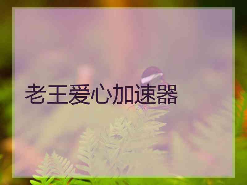 老王爱心加速器