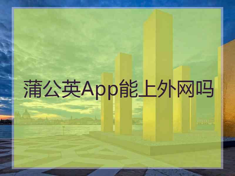 蒲公英App能上外网吗